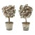 Antique 19th Century French Zinc Tole Topiary Trees in Flower Pots - a Pair For Sale
