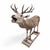 Beige Antique 12-Point Whitetail Deer Full Body Mount For Sale - Image 8 of 8