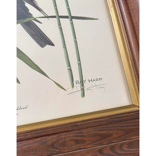 Wood 1970s Lithograph Western Bird Prints by Ray Harm, Framed and Signed, a Pair For Sale - Image 7 of 10