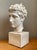 Vintage Plaster Classical Bust of Roman Warrior For Sale - Image 17 of 18