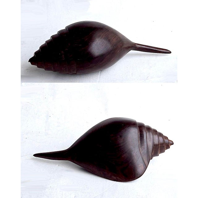 Mid-Century Modern Vintage Hand Carved Ironwood Conch Shell For Sale - Image 3 of 17