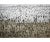 KADER BOLY FRAMED ABSTRACT HERD IMPRESSION ACRYLIC ON CANVAS PAINTING. Height: 49 in. by Width: 73 in.