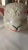 1950s Cookie Jar - Mid Century For Sale - Image 5 of 8