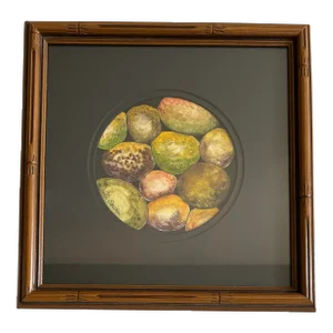 Rock Collection Original Watercolor Painting Signed and Framed