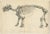 Marsh, Paleontology Illustration of a Dinoceras Mirabile, 1886, Print For Sale - Image 4 of 5