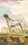 This charming hand-colored 1758 engraving is one of the oldest available prints of a dog. Taken from the 10th volume...