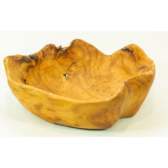 Contemporary Organic Teak Burl Wood Bowl Natural Free Form Live Edge Sculptural Root Vessel For Sale - Image 3 of 12