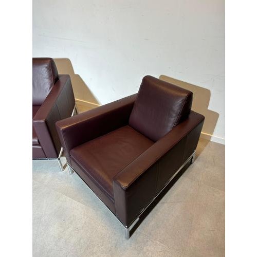 Animal Skin DS 4 Chair from de Sede For Sale - Image 7 of 9