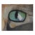 Cat Eye Pastel Painting For Sale