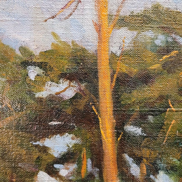 French School Artist, Pine Forest, 20th Century, Oil on Canvas, Framed For Sale - Image 17 of 18