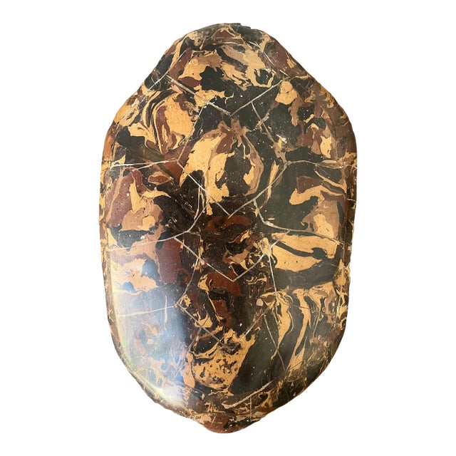 Vintage Italian Scagliola Artisanal Pigmented Plaster Turtle Shell For Sale
