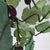 Vintage Serpentine Jade Grape Bonsai Sculpture – Gemstone Fruit on Carved Base For Sale - Image 9 of 10
