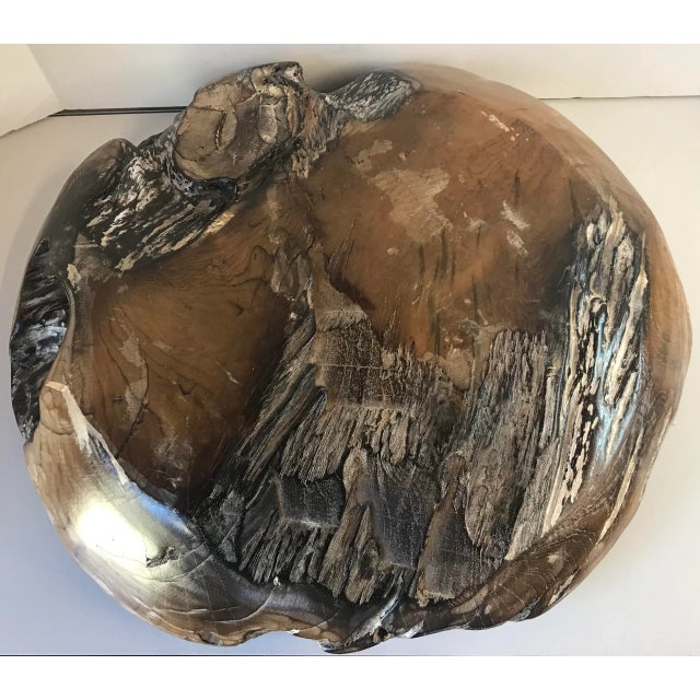 Wood Early 21st Century Organic Modern Handmade Teak Root Bowl For Sale - Image 7 of 9