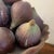 Italian Aubergine and Green Terra-Cotta Fig Topiary For Sale - Image 4 of 10