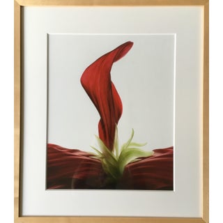 Framed Digital Abstract Photograph For Sale
