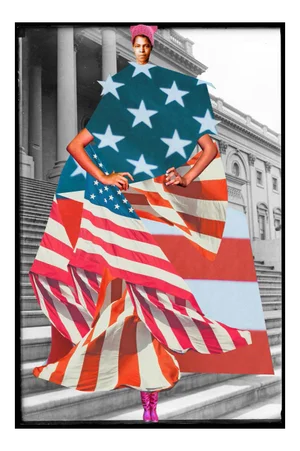 Plate No. 158, the Womens March on Washington 2017, Abstract