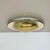 Gio Ponti Brass Ceiling or Wall Light in the style of Gino Sarfatti, Italy, 1950s For Sale - Image 4 of 18