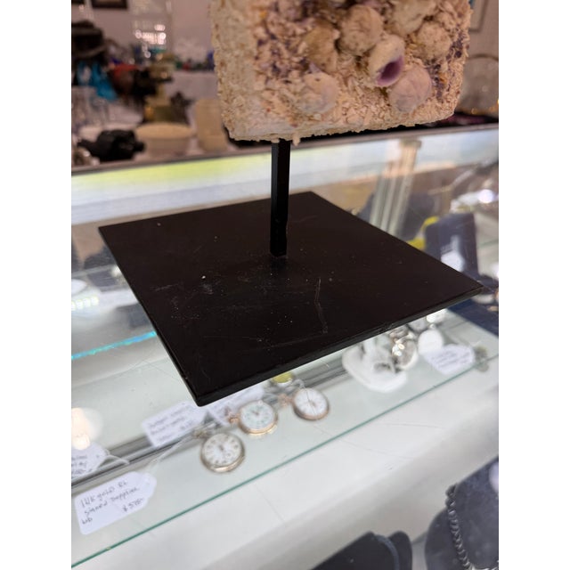 Coastal 1970s Designer Seashell Cross Embellished With Natural Seashells on Stone Base For Sale - Image 3 of 6
