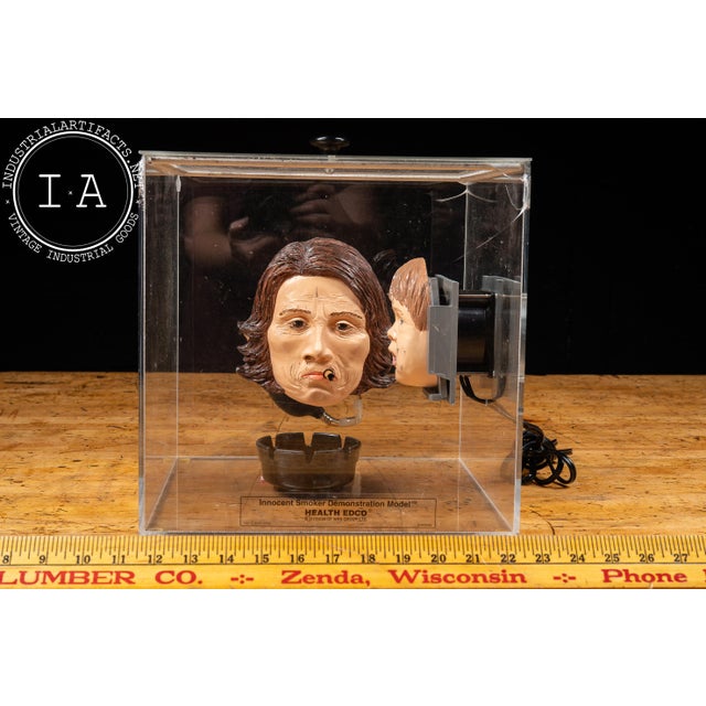 Late 20th Century Health Edco Innocent Smoker Educational Demonstration Model For Sale - Image 18 of 18