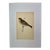 Antique Hand Tinted Bird Print From England Featuring a Brown & Tan Twite - Circa 1880 For Sale