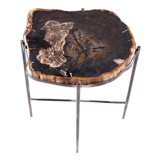 Living Edge Petrified Wood Top W Iron Stand Accent Table or Side Table 51 For Sale