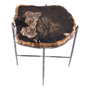 Living Edge Petrified Wood Top W Iron Stand Accent Table or Side Table 51