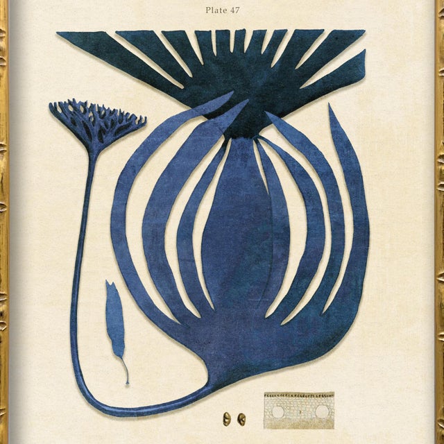 Contemporary Vintage Blue Seaweed Art Print Reproduction (1), Framed For Sale - Image 3 of 5