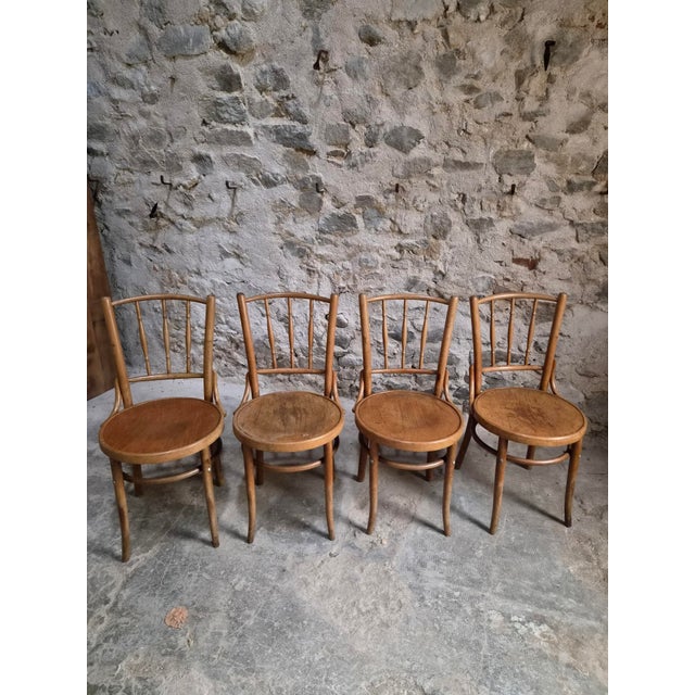 Vintage Bentwood Bistro Chairs from Fischel, Czechoslovakia, 1940s, Set of 4 For Sale - Image 9 of 18