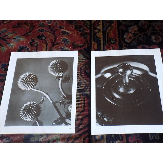Surrealism Vintage Man Ray Surrealist Photographic Prints - Set of 9 For Sale - Image 3 of 9