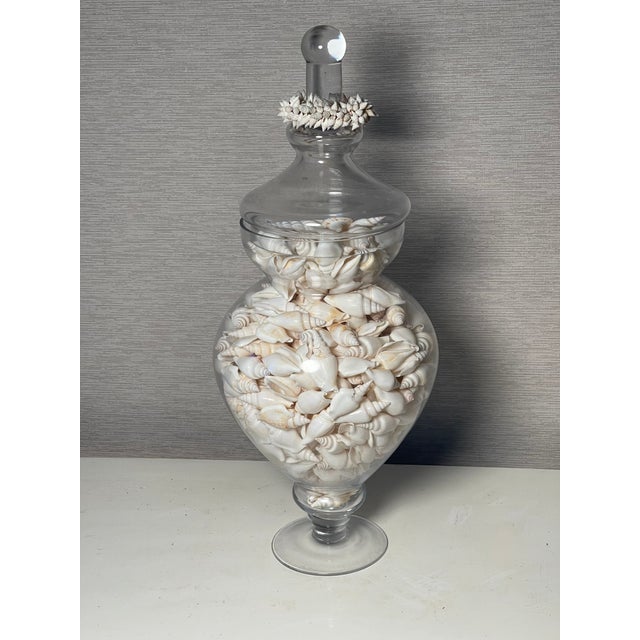 Antique White Vintage Large Glass Jars With Sea Shells For Sale - Image 8 of 12