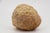 Cerebroid Silex, Middle Jurassic, Iberian Peninsula For Sale - Image 9 of 16