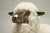 Old Plank Solid Bronze Sheep For Sale In Chicago - Image 6 of 8