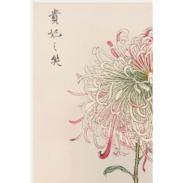 A refined example of late nineteenth-century Japanese botanical illustration, this vintage art print reproduction features...