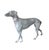 A charming, antique cast lead garden statue. Features a standing greyhound or whippet in beautifully patinated, cast lead....