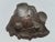 This auction is for rare Japanese bronze trinket dish sculpted showing Urashima Tarō riding on a sea turtle. One unusual...