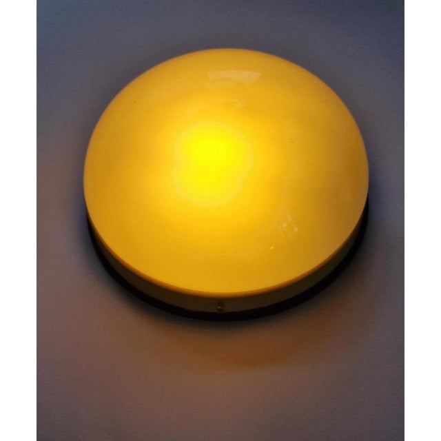 Mid-Century Ceiling Lamps, 1950s For Sale - Image 12 of 18