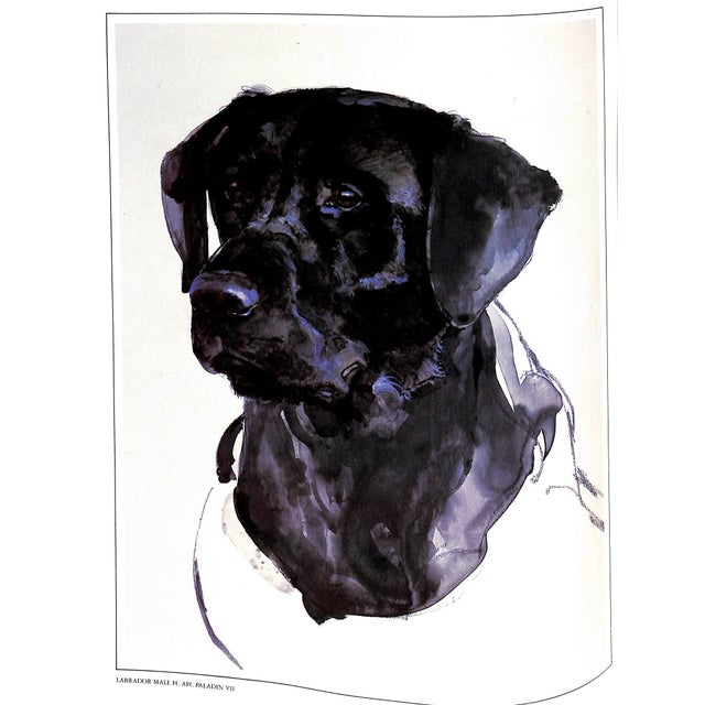 1980s "The Working Retrievers" Book 1983 Quinn, Tom For Sale - Image 5 of 12