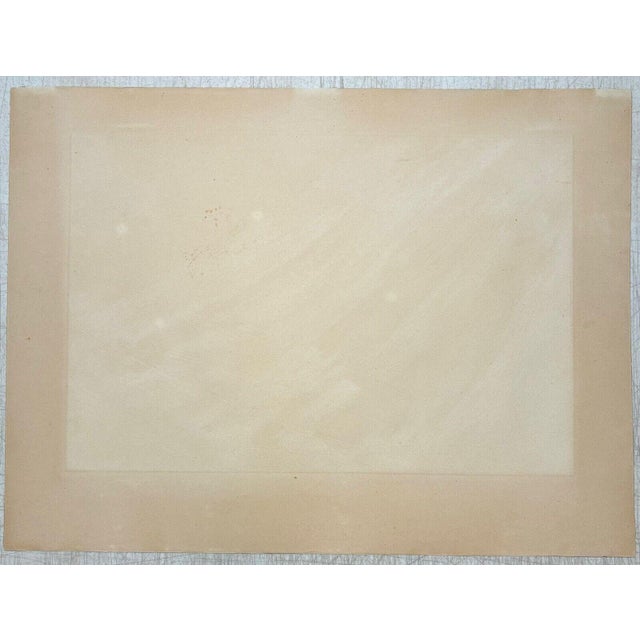 Terry Haass 'interspatial' Abstract Expressionist Aquatint Etching- Atelier 17 For Sale - Image 4 of 12