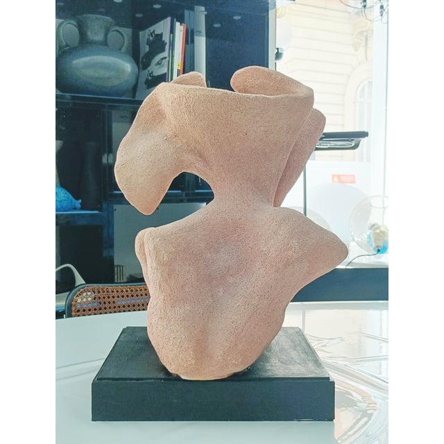 Adriana Montariello, Organic Ceramic Sculpture on a Wooden Base, 1990s, Ceramic and Compressed Wood For Sale - Image 11 of 13