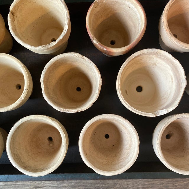 Vintage Salvaged Beige Terra-Cotta Flowerpots in Painted Wooden Drawer - Set of 19 For Sale - Image 4 of 12
