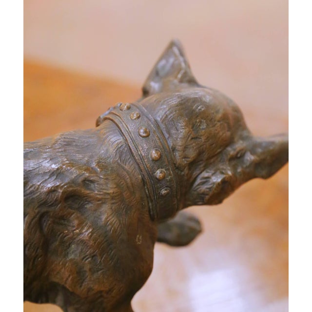 Bronze Early 20th Century French Animalier Bronze Hunt Dog Sculpture Signed T. Cartier For Sale - Image 8 of 11