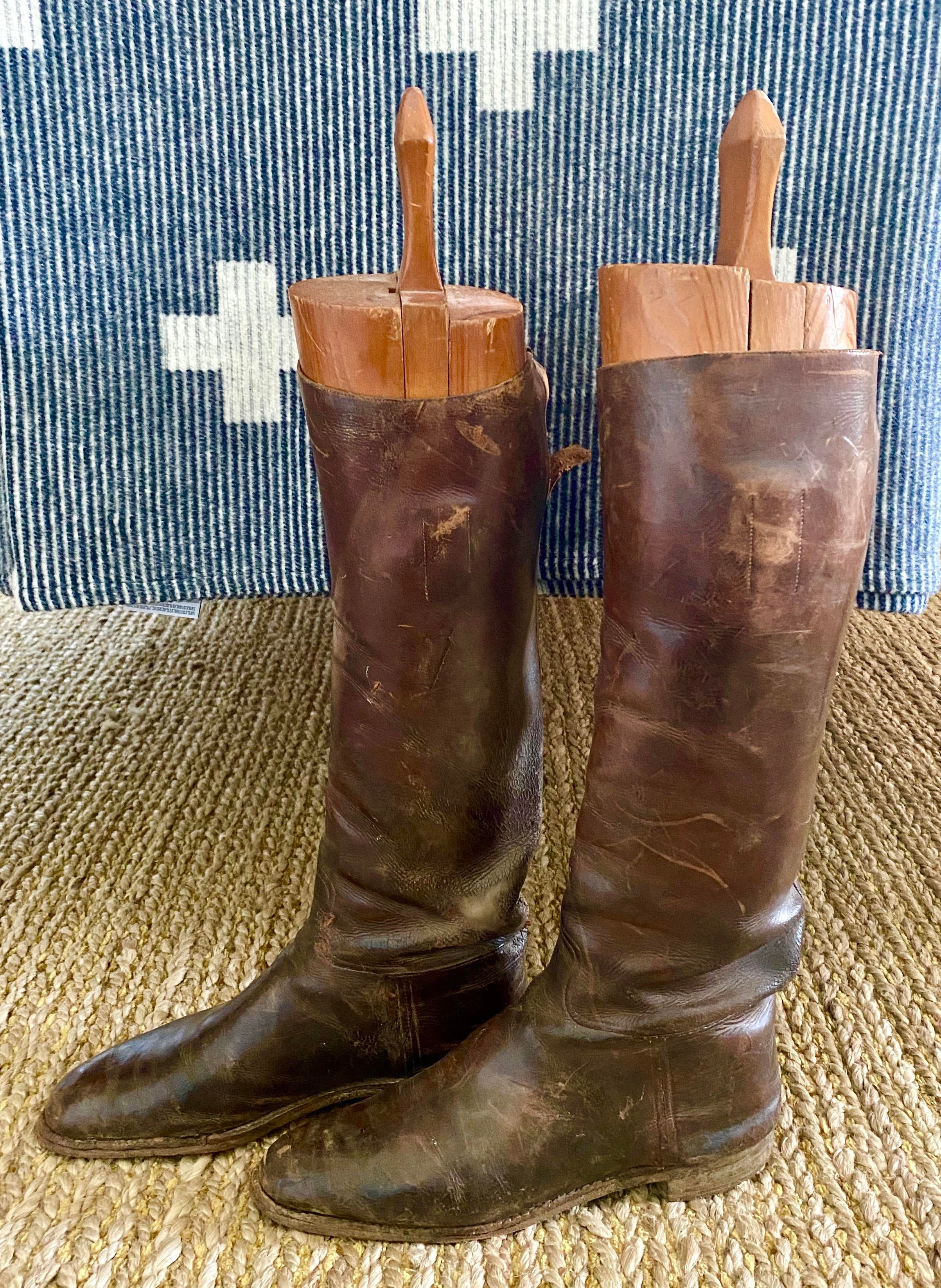 equestrian tall boot trees