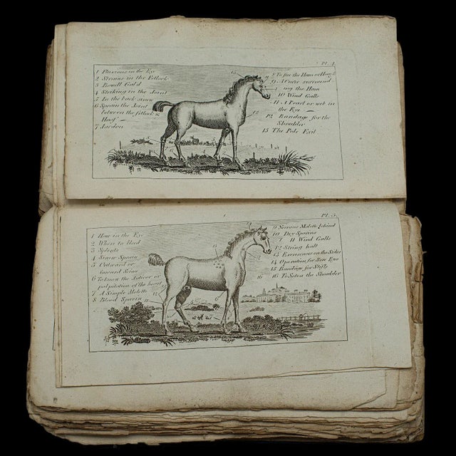 1796's Antique Book Compendium of Farriery For Sale - Image 10 of 12