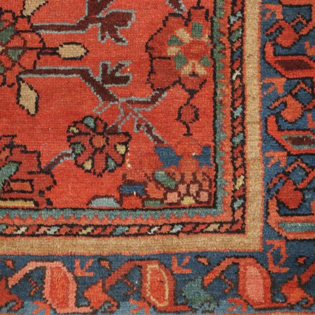 Lilian Rug in Cotton and Wool, Iran For Sale - Image 5 of 8