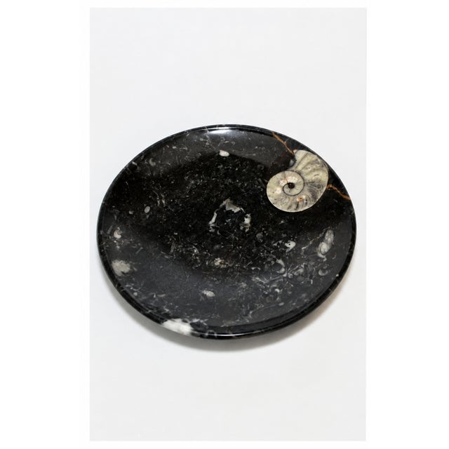 Pair Large Ammonite Plates Black White 6.25" Millions Years For Sale - Image 9 of 9