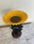 Antique cast iron sunflower ornamental garden bird bath A beautifully restored and hand painted antique cast iron...