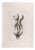 Giacomo Porzano, Nude, 1972, Etching For Sale