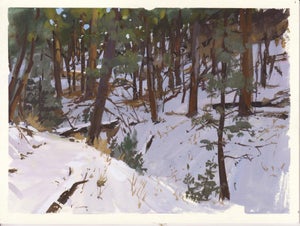 004 - Plein Air-O'Fallon Park, CO, 1/12/22 by Judd Mercer | Gouache Painting of a snowy forest scene