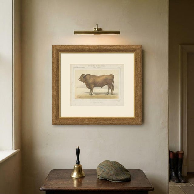 Paper Borie, Garonnais Bull, French Cattle Breed, 1863, Chromolithograph For Sale - Image 7 of 9