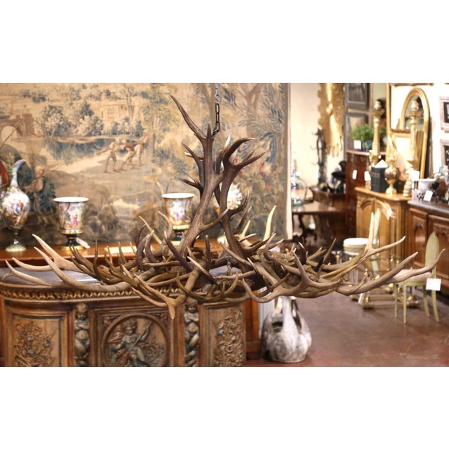 Vintage American Black Forest Style Elk and Deer Antler Ten-Light Chandelier For Sale In Dallas - Image 6 of 7